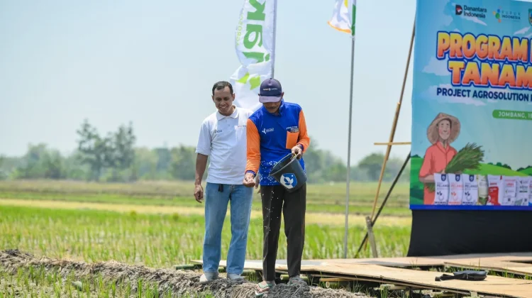 Agrosolution Perkuat Produktivitas Padi melalui Pemupukan Berimbang