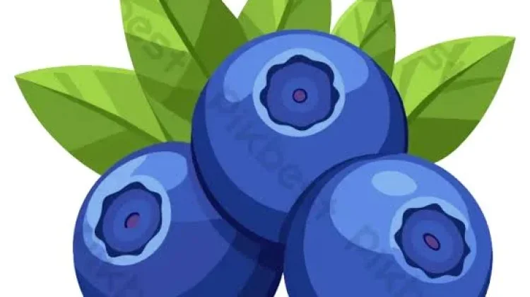 Manfaat Blueberry untuk Kesehatan
