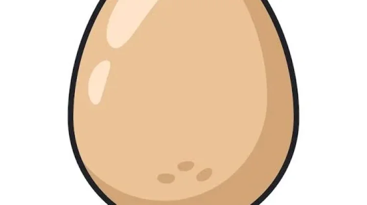 Benarkah Telur Tidak Boleh Dicuci?
