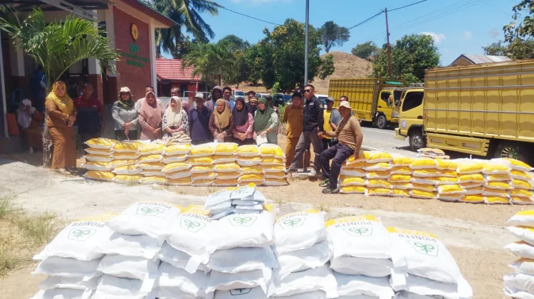 75 Ton Benih Jagung Disalurkan di Boalemo, sasar 5.000 Ha Lahan Petani