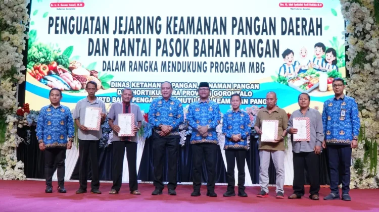 Dari Petani ke Meja Makan, Gorontalo Perkuat Rantai Pasok Pangan untuk Program MBG