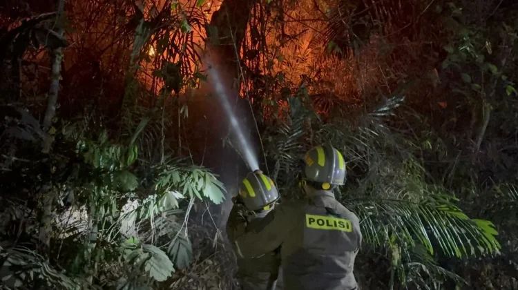 Kebakaran Lahan di Bondawuna Padam, Tim Gabungan Cegah Api Meluas