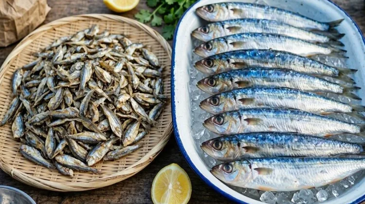 Waspada, Ikan Ini Picu Asam Urat