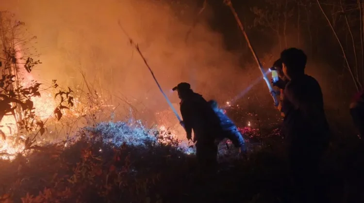 Tim Siaga Karhutla Padamkan Kebakaran Lahan di Suwawa Timur