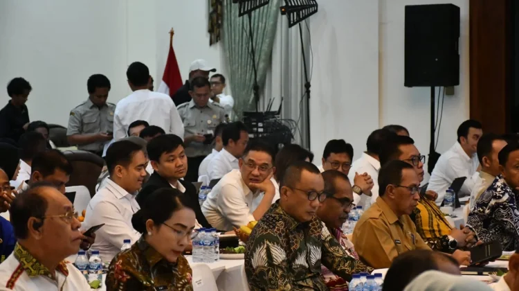 Wakil Bupati Boalemo Bahas Peluang Pengembangan Bioethanol dengan Mentan RI