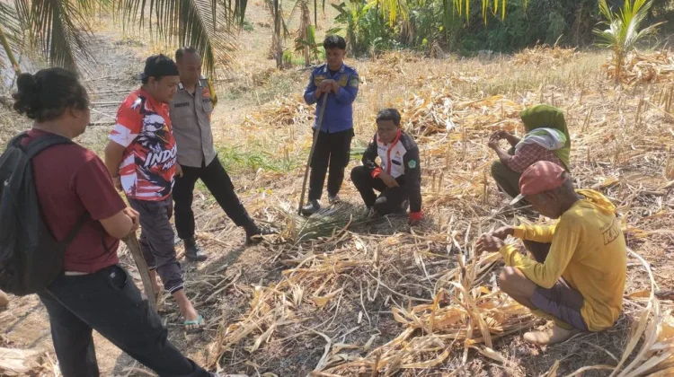 Polsek Tilamuta Cegah Kebakaran Lahan Meluas di Desa Ayuhulalo