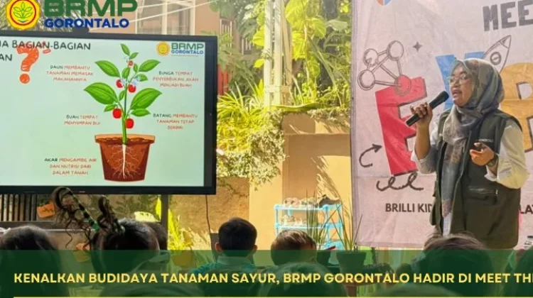 Kenalkan Budidaya Tanaman Sayur, BRMP Gorontalo Hadir di Meet The Expert