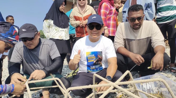 Memperkuat Konservasi Laut Lewat Transplantasi Terumbu Karang