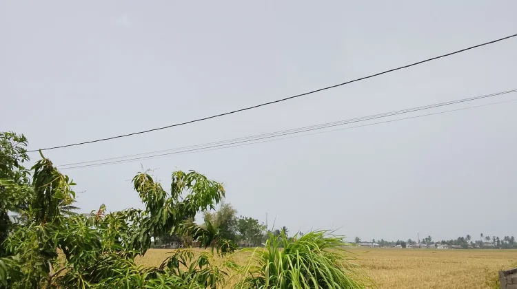 Langit Gorontalo Diselimuti Asap, BMKG Ungkap Penyebabnya