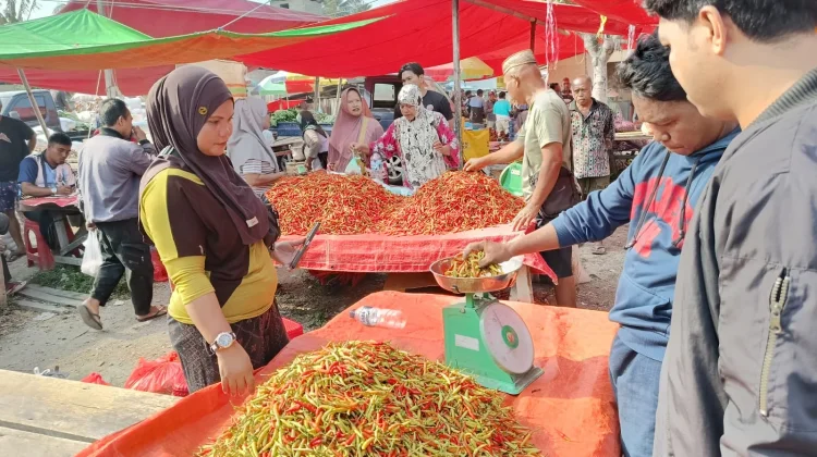 Harga Rica Masih Tinggi, di Pasar Andalas Dijual 120 hingga 140 Ribu per Kilogram