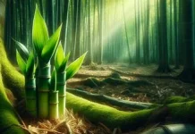 Rebung, Superfood Lokal Kaya Manfaat