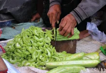 Pare, Si Pahit yang Kaya Manfaat