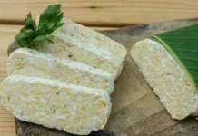 Manfaat Tempe Untuk Kesehatan Tubuh Manusia