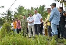 Gubernur Gorontalo Tinjau Progres Cetak Sawah di Randangan Pohuwato