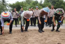 Polres Bone Bolango Tanam Jagung Serentak Dukung Ketahanan Pangan