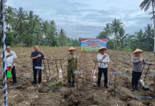 DPRD Provinsi Gorontalo Dukung Tanam Raya Jagung untuk Swasembada Pangan