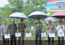 Tanam Raya Jagung Serentak Dukung Swasembada Pangan