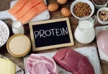 Makanan yang Mengandung Protein Tinggi