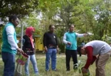 Gerakan Mopomulo Dorong Penanaman Pohon