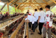 Bupati Tinjau Peternakan Ayam BUMDes Dambalo