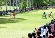 Tahun ini, Hari Ketupat di Yosonegoro tanpa Kegiatan Pacuan Kuda dan Karapan Sapi