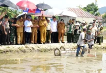 Lokasi Gelar Teknologi Pertanian PENAS Gorontalo Mulai Ditanami Padi