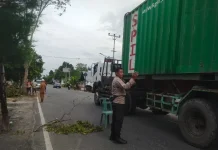 Polsek Limboto Barat Amankan Penebangan Pohon di Trans Sulawesi