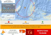 Gempa 7,6 Magnitudo, BMKG Keluarkan Peringatan Dini Tsunami