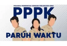 Gaji PPPK Paruh Waktu di  Gorontalo Bervariasi