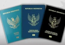 Kenali Arti Warna Paspor RI