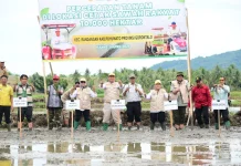 Wagub Turun Sawah Tanam Padi di Lokasi CSR Randangan
