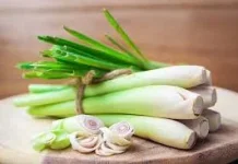 Manfaat Sereh untuk Kesehatan