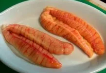 Manfaat Telur Ikan untuk Kesehatan