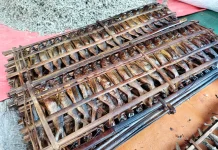 Harga Sagela di Pasar Telaga Tembus Rp50 Ribu per Ikat
