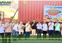 Pengiriman Perdana Jagung Gorontalo Dorong Hilirisasi