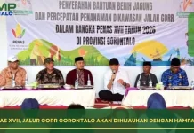 Penanaman Jagung Sambut PENAS XVII