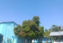 Hujan Ringan Berpotensi Guyur Gorontalo Rabu 22 April 2026 Siang Ini