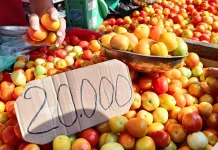 Harga Bahan Pokok di Pasar Andalas Masih Stabil