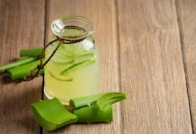 Khasiat Lidah Buaya untuk Kecantikan