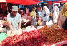 Update Harga Bahan Pokok 26 April 2026