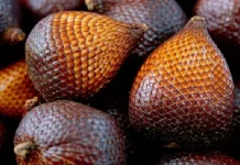 Kulit Buah Salak yang Diabaikan, Ini Manfaatnya
