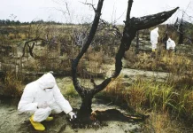 Serangan Drone Perburuk Kondisi Reaktor Chernobyl