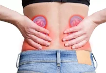 Lima Tips Sehat Menjaga Fungsi Ginjal Tetap Optimal