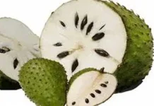Manfaat Sirsak untuk Kanker, Ketahui Faktanya