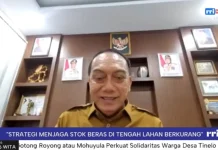 Beras masih menjadi makanan pokok