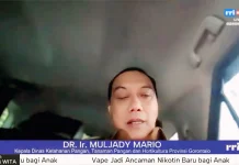 Gorontalo Surplus Beras di tengah Penyusutan Lahan