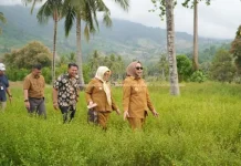Gorut Dukung Hilirisasi Ayam Terintegrasi di Sumalata Timur