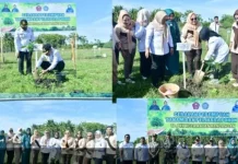 TP PKK Pohuwato Gaungkan Gerakan Perempuan Tanam Pohon