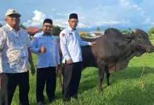 Kanwil Kemenag Gorontalo Matangkan Persiapan Kurban Idul Adha 1447 H