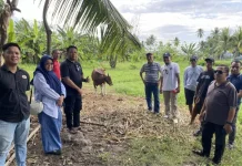 Sekretariat DPRD Provinsi Gorontalo Tinjau Calon Hewan Kurban Idul Adha